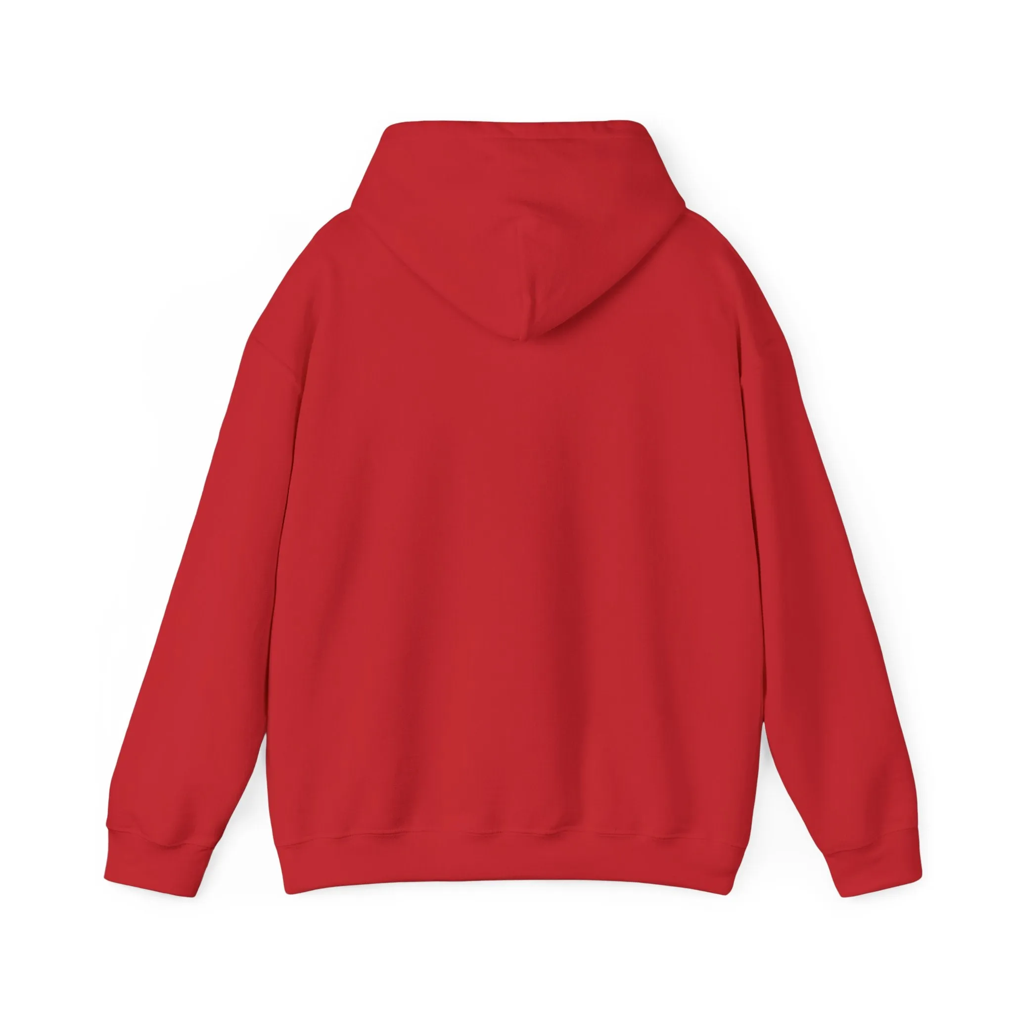 Face the Truth Hoodie - Not Everyone Has It.