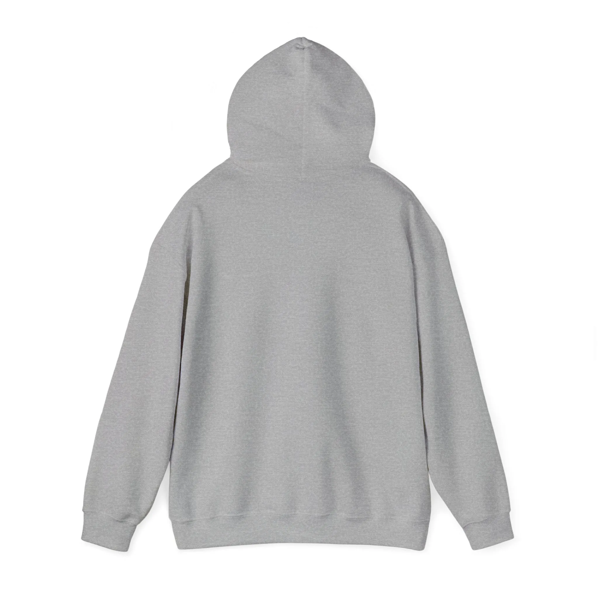 Face the Truth Hoodie - Not Everyone Has It.