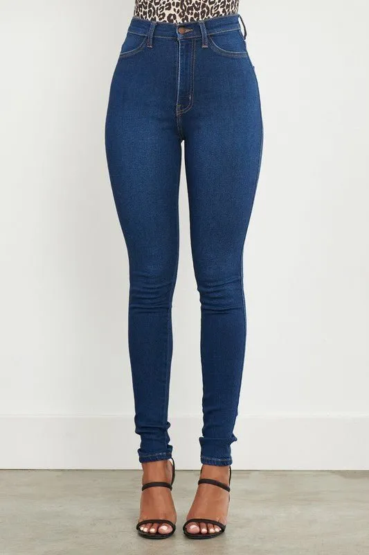 Judy High Waisted Classic Skinny Jeans