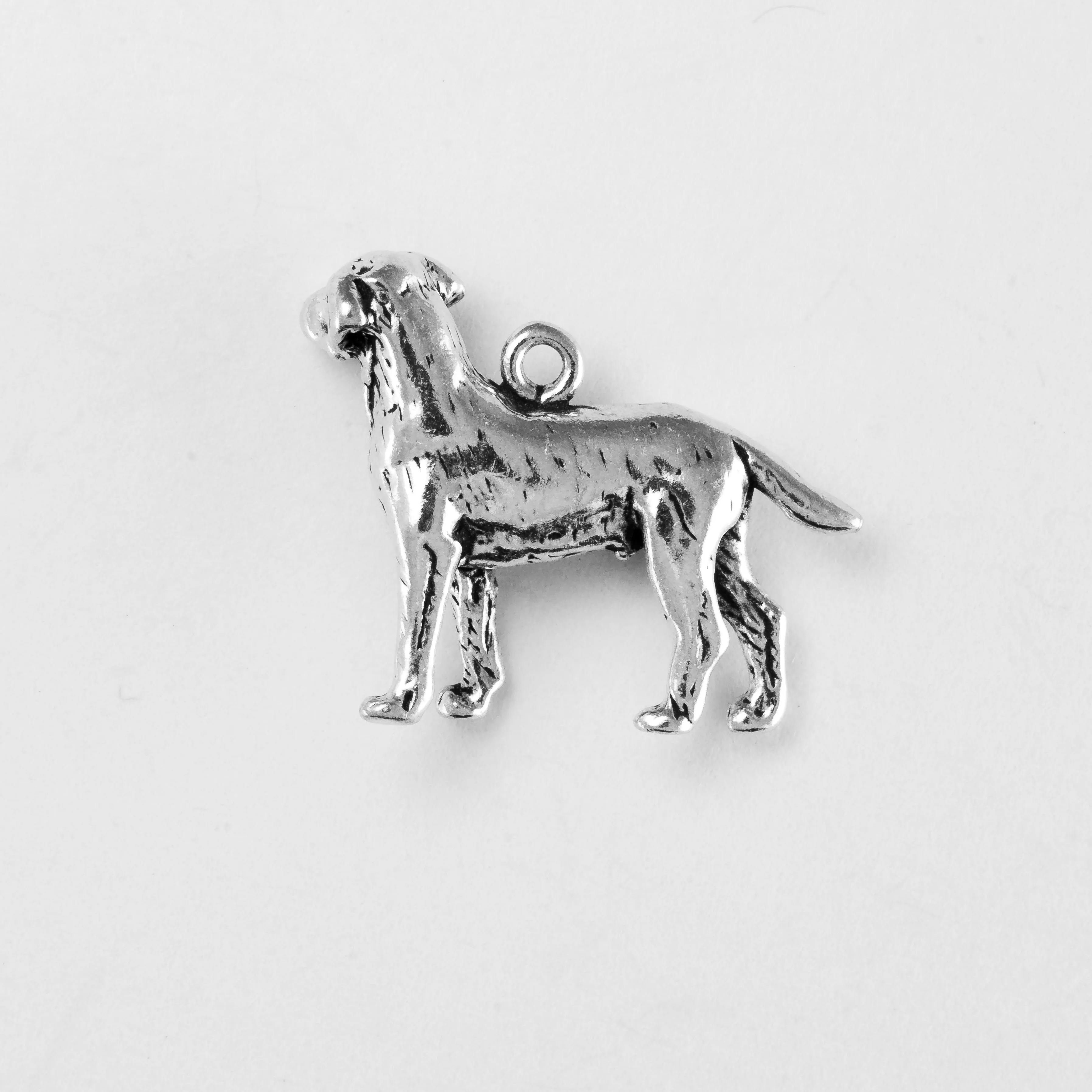 Labrador Retriever, Body