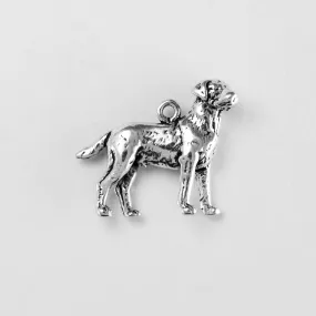 Labrador Retriever, Body